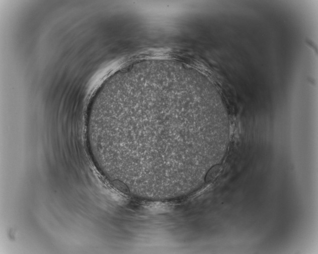 X0000100870293200807071109