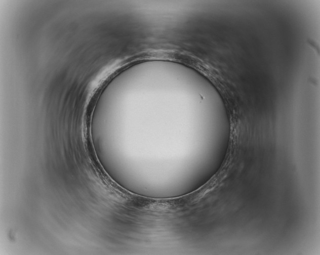 X0000100870294200807071109