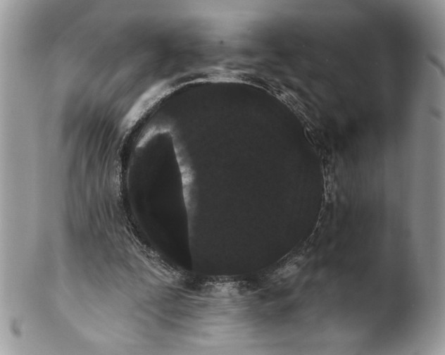 X0000100870295200807071109