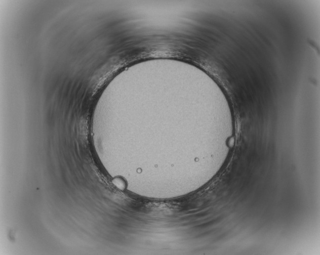 X0000100870297200807071109