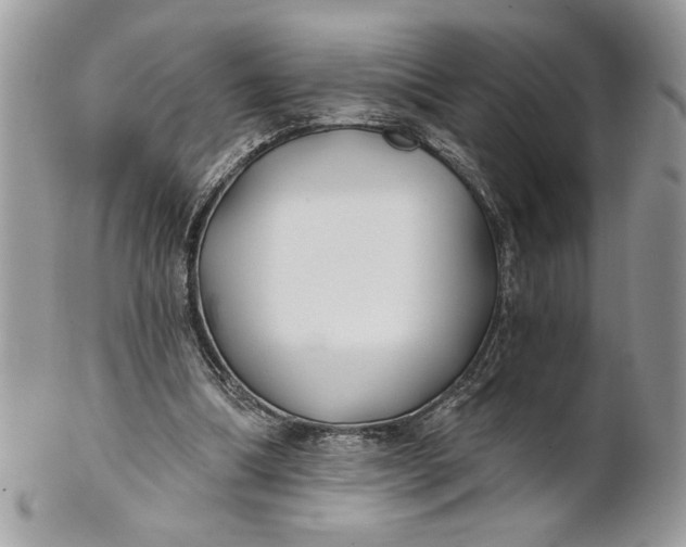 X0000100870298200807071109