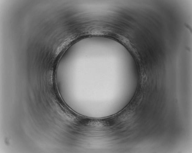 X0000100870299200807071109