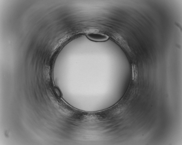 X0000100870300200807071109