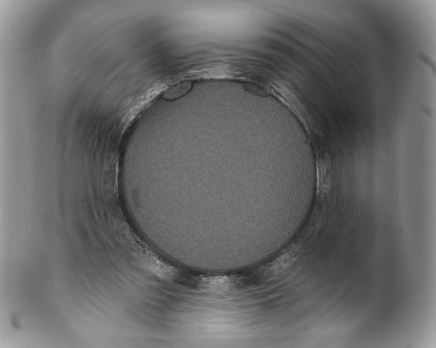 X0000100870301200807071109