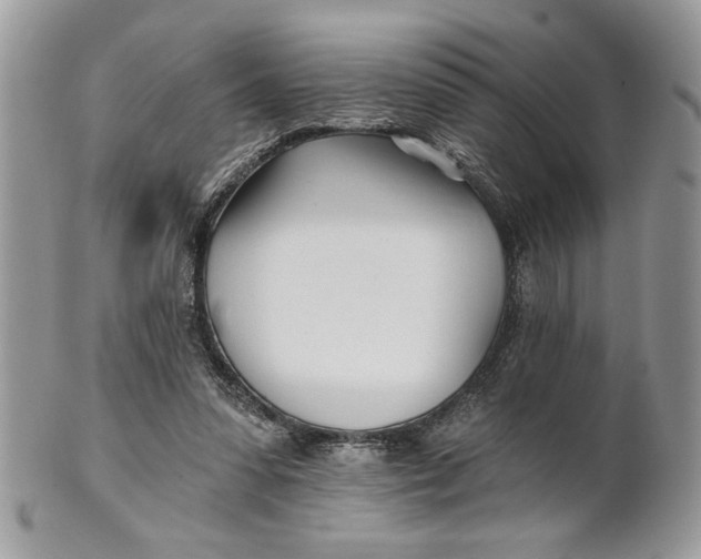 X0000100870303200807071109