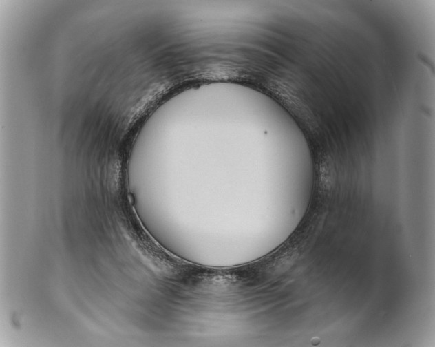 X0000100870304200807071109