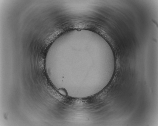 X0000100870305200807071109