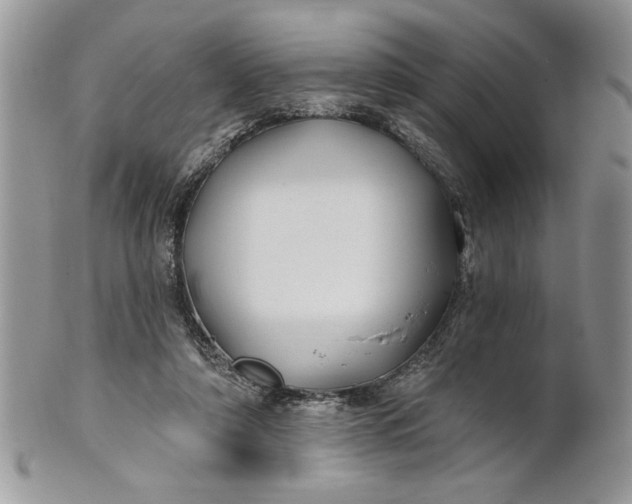 X0000100870306200807071109