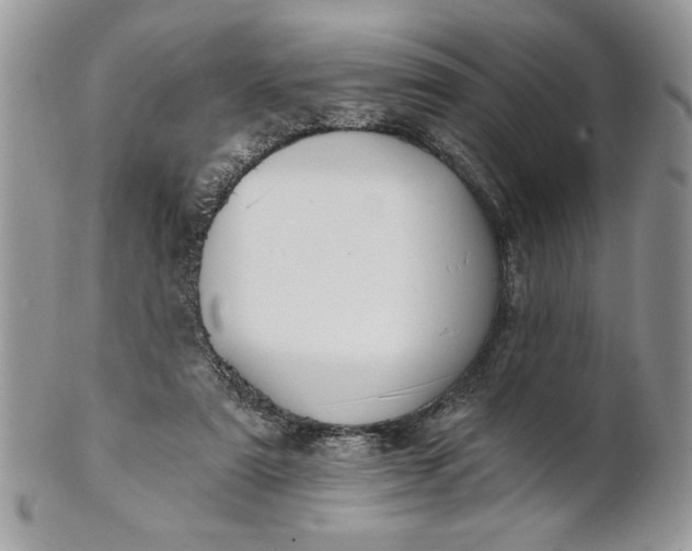 X0000100870307200807071109