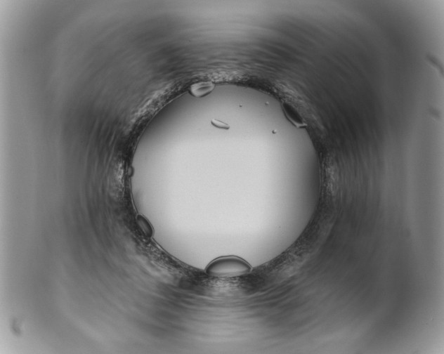 X0000100870308200807071109