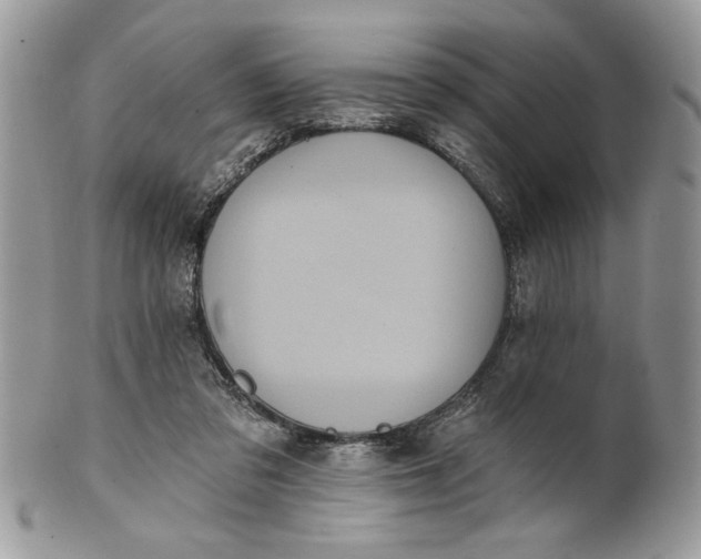 X0000100870309200807071109