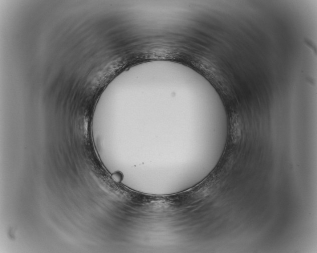 X0000100870310200807071109