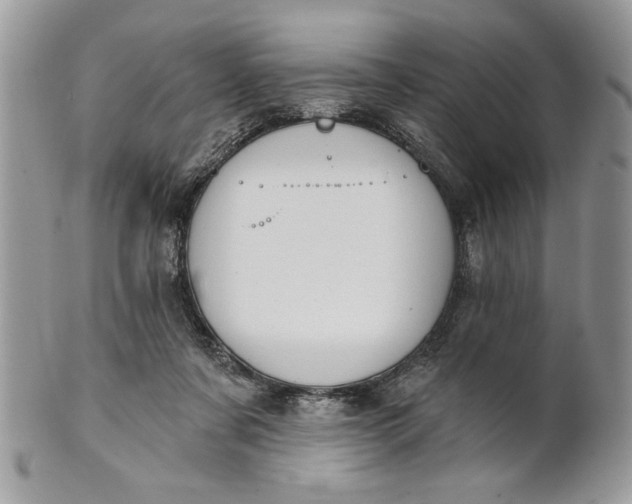 X0000100870311200807071109