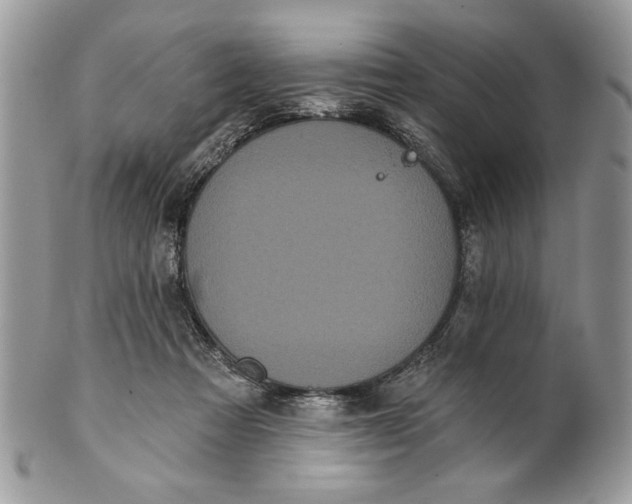 X0000100870313200807071109