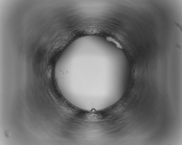 X0000100870315200807071109