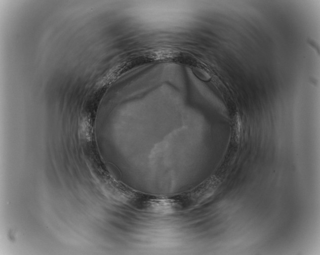 X0000100870316200807071109