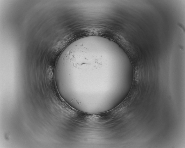 X0000100870318200807071109