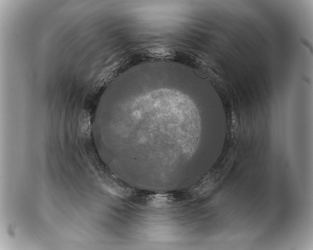 X0000100870320200807071109