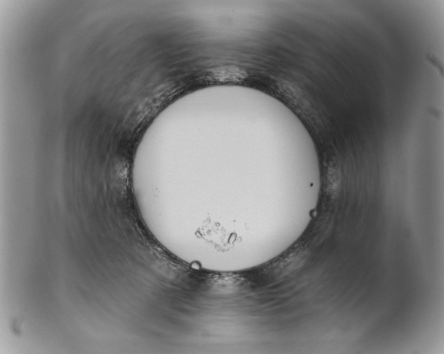 X0000100870321200807071109