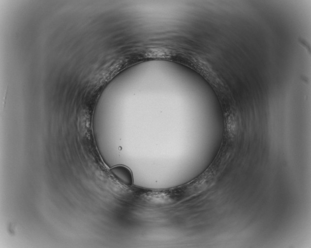 X0000100870322200807071109