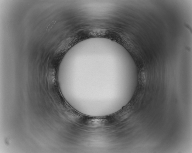 X0000100870323200807071109