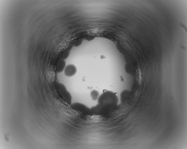 X0000100870324200807071109