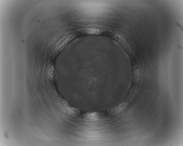 X0000100870325200807071109