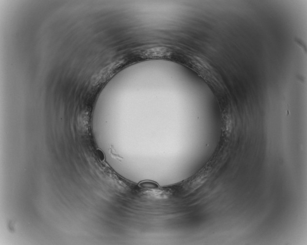 X0000100870326200807071109