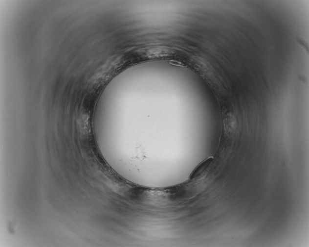 X0000100870327200807071109