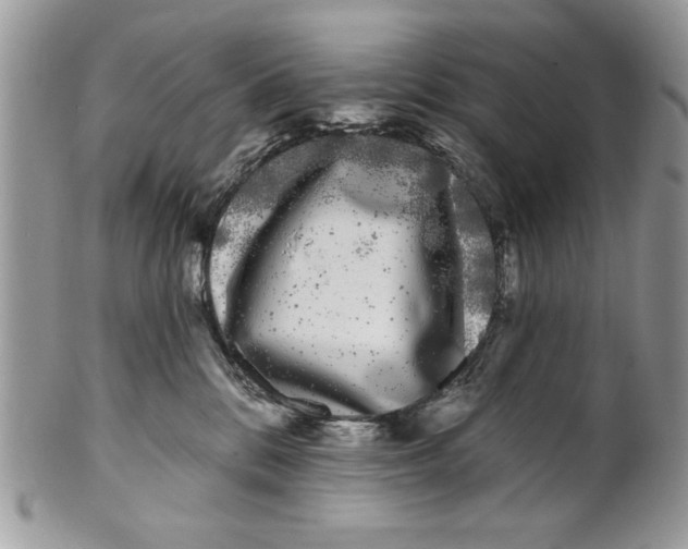 X0000100870328200807071109