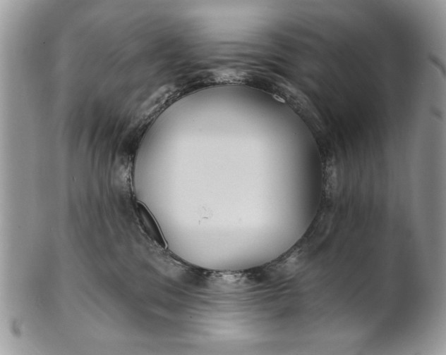 X0000100870329200807071109