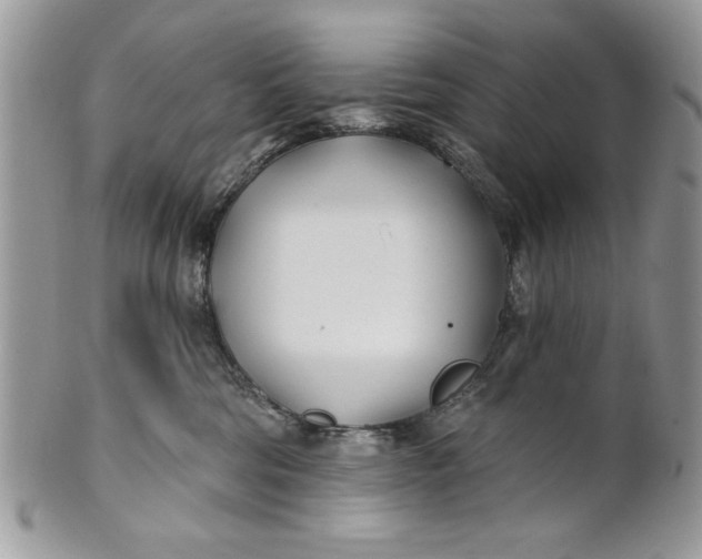 X0000100870330200807071108