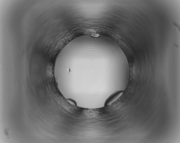 X0000100870331200807071108