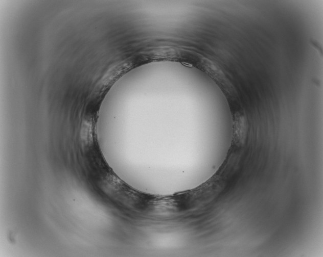 X0000100870333200807071108