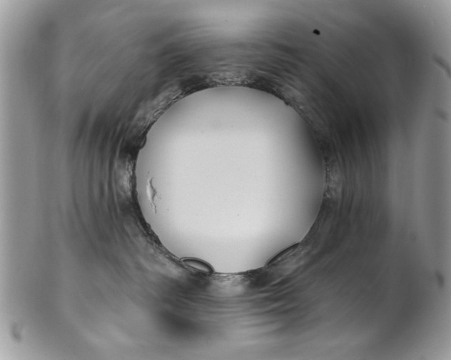 X0000100870334200807071108