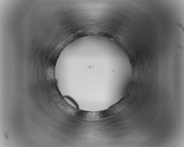 X0000100870335200807071108