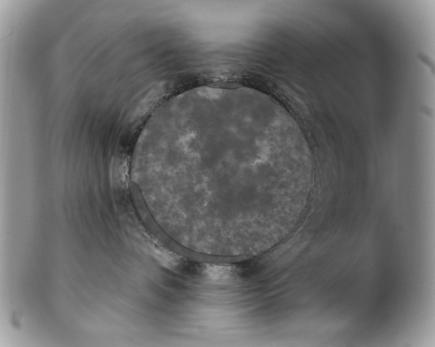 X0000100870336200807071108