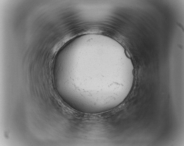 X0000100870337200807071108