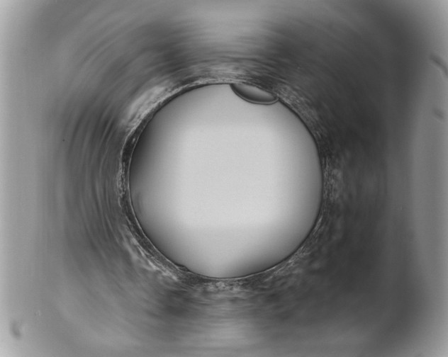 X0000100870338200807071108