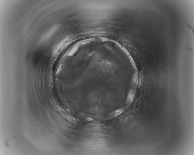 X0000100870339200807071108