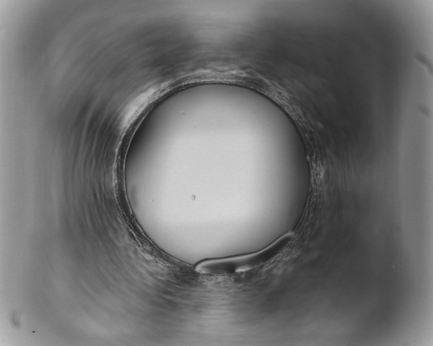 X0000100870340200807071108