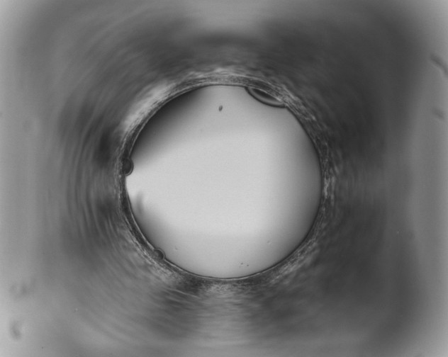 X0000100870341200807071108