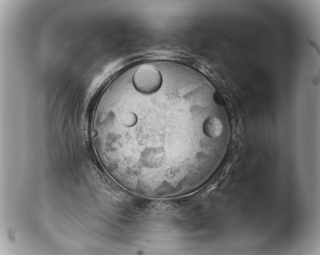 X0000100870343200807071108