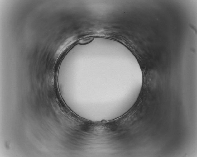 X0000100870344200807071108