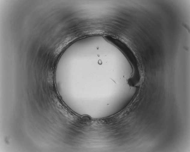 X0000100870345200807071108