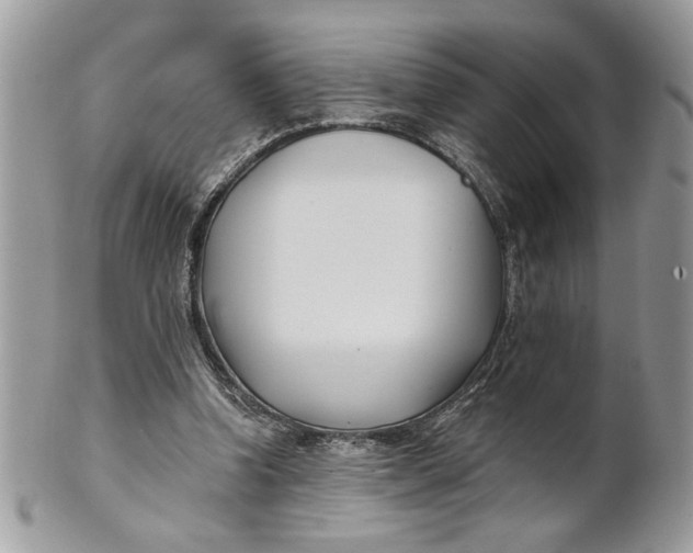 X0000100870346200807071108