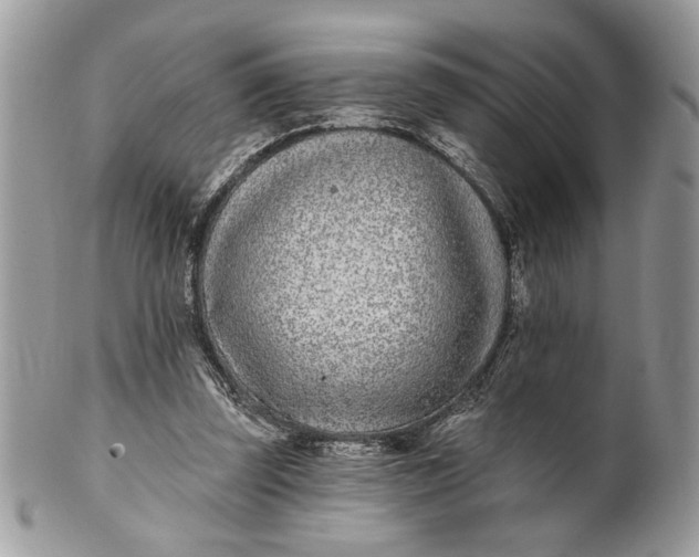 X0000100870347200807071108