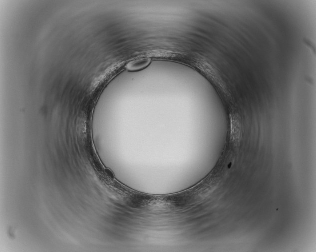 X0000100870348200807071108