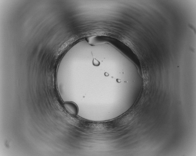 X0000100870349200807071108