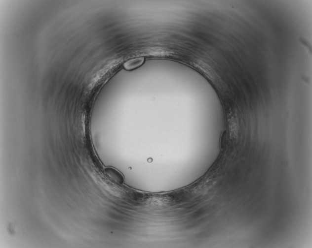 X0000100870350200807071108